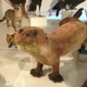 Illustration for article titled The Worlds Most Awkward Taxidermy